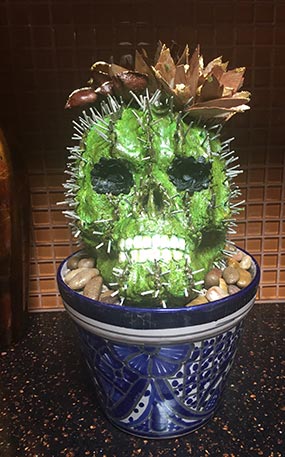 Barrel Cactus Skull